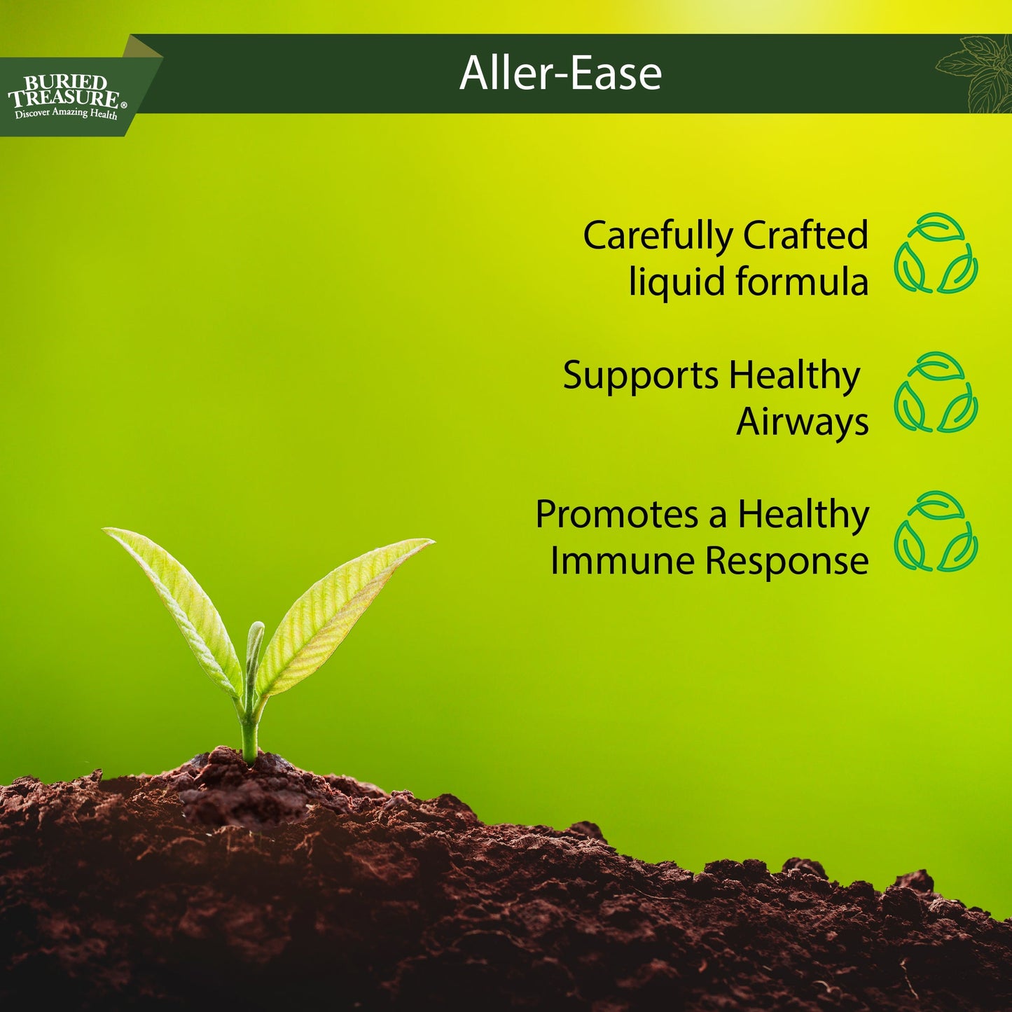 Aller Ease – Liquid Supplement with Quercetin, Bromelain, Vitamin C, and Zinc